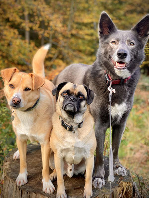 CODY (links) & BLUE (rechts)