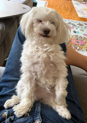 LADY