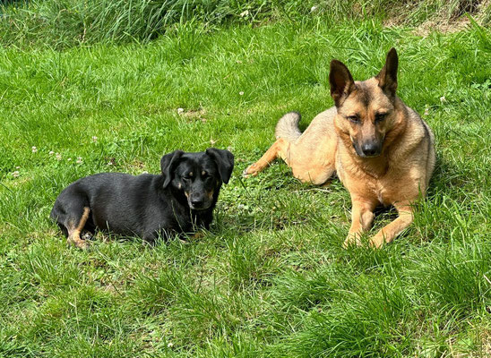 POPPI & LIATH