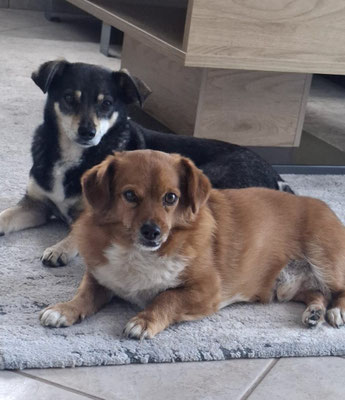 LOTTI & ROCCO