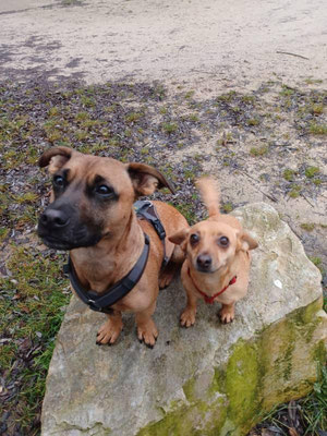 MILLI & GARI