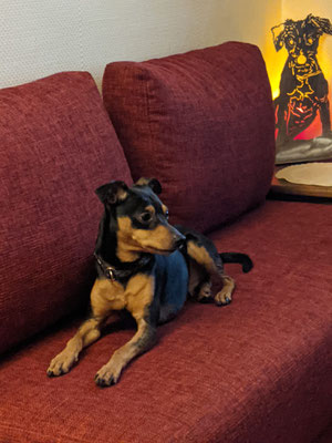 WINNIE