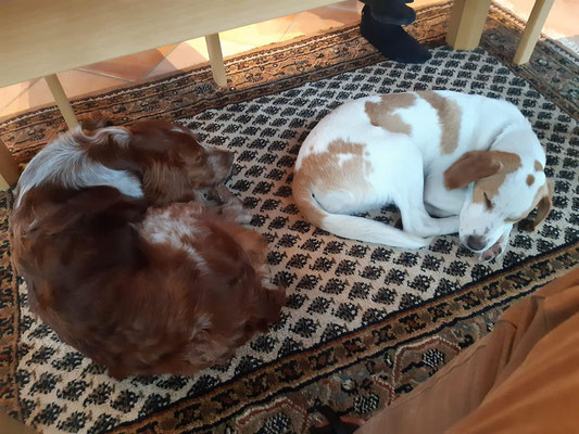 KARMA & JINX