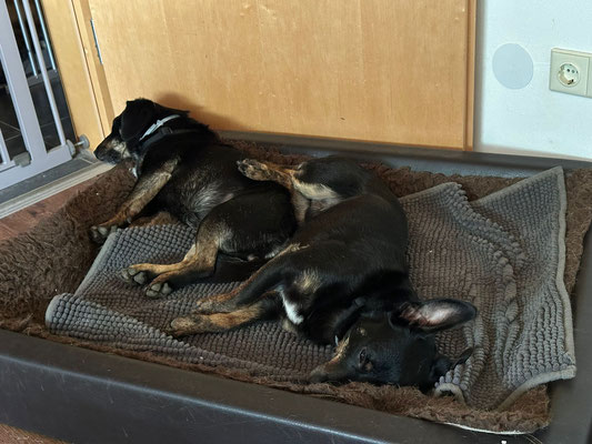 JUTKA & RANEK