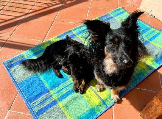 TOLA & FILOU