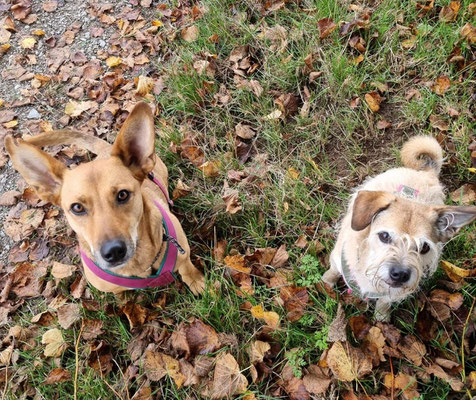 ZUCKA & KALLI