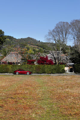 Ferrari Japan
