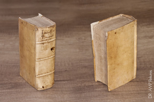 Livre XVI° siècle, reliure parchemin, dos à 3 nerfs