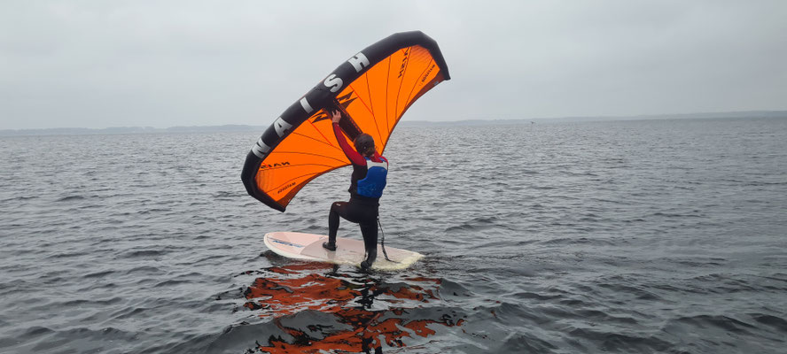 stage de wing cap ferret