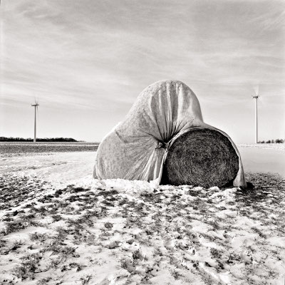 Hay bales, Schulenburg 2018