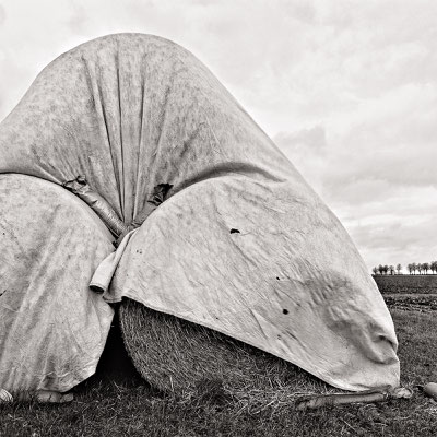 Tarp over hay bales Schulenburg 2016