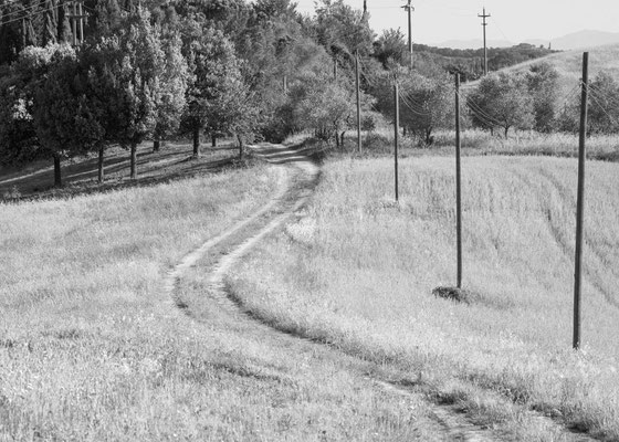 Tractor trail I