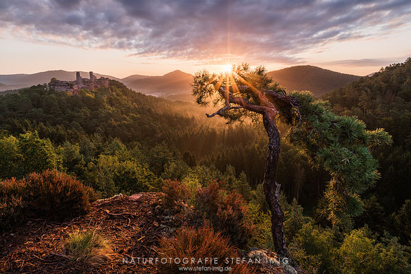 20190816-Sonnenaufgang im Pfälzerwlad-