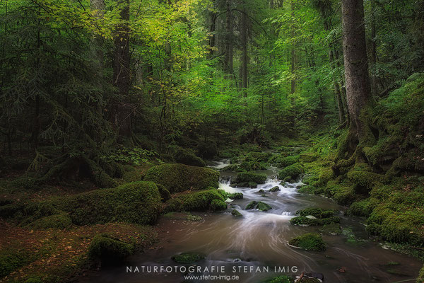 20250926-Monbachtal-17580