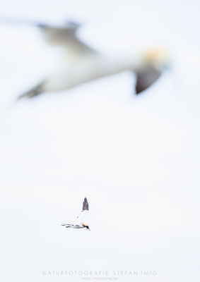 20240505-Landeanflug-13067