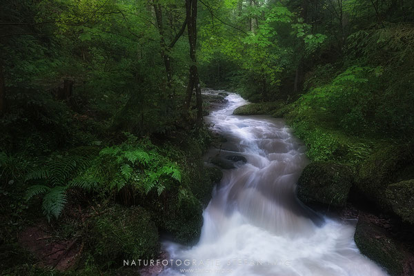 20240712-Wildbach-8519491