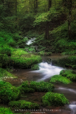20250926-Wildbach-17666