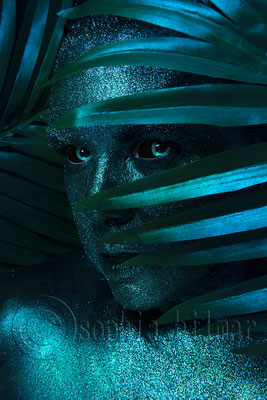 Rainforest Shooting