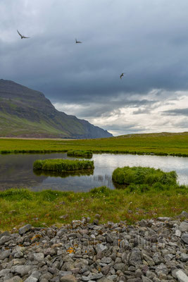 Skagi and Reykir, Iceland