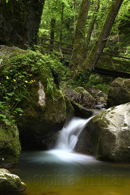 Johannesbachklamm, Würflach, Lower Austria, Austria