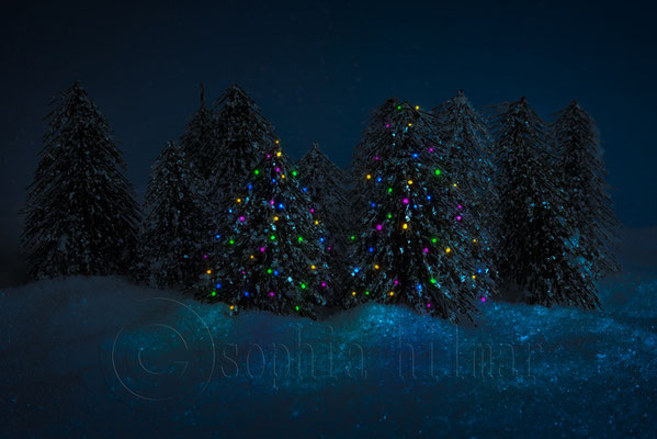 Christmas woodland scene 
