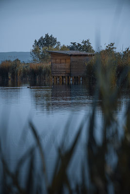 Illmitz, Lake Neusiedl National Park - Seewinkel, Burgenland, Austria