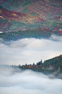 Kressenberg viewed from mountain Hohe Wand, Lower Austria, Austria