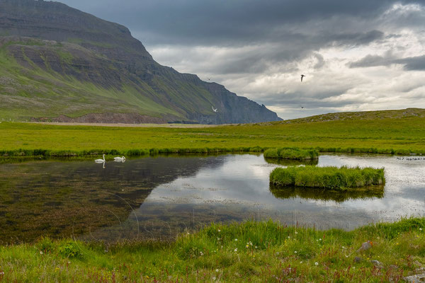 Skagi and Reykir, Iceland