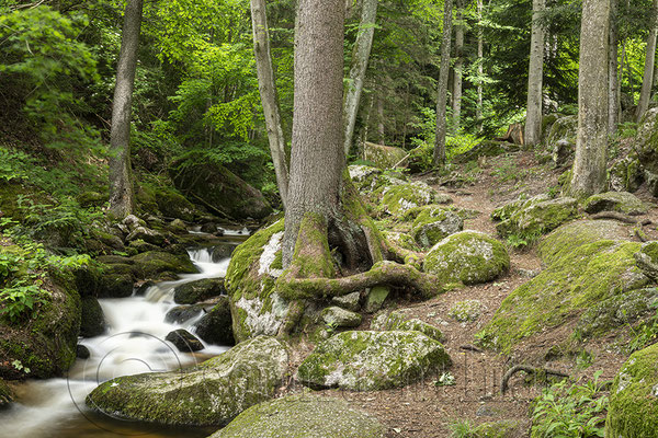 Ysperklamm, Yspertal