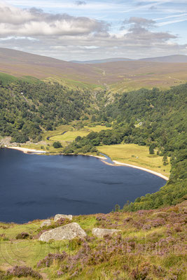 Wicklow Mountains, Ballynabrocky – Ireland