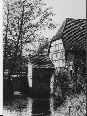 Blick auf die Mühle im Jahr 1956