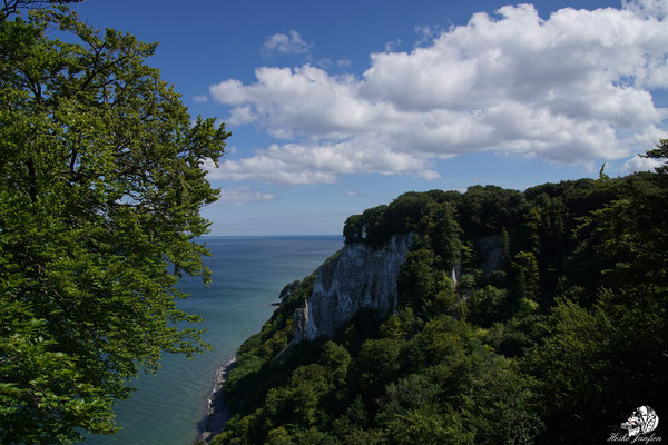 Kreidefelsen Rügen