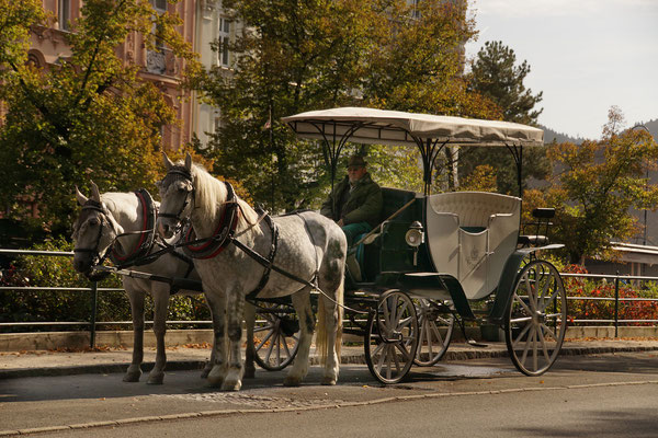 Kutsche in Karlsbad 