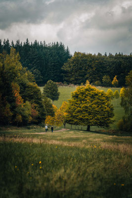 Landschaftspark Hofgut Imsbach - Tholey