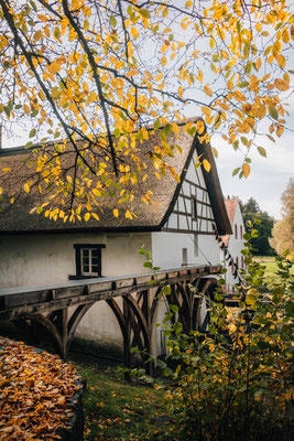 Johann Adams Mühle - Tholey