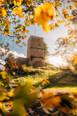 Burg Siersberg (Siersburg) - Rehlingen-Siersburg