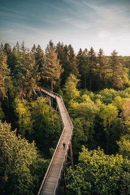 Baumwipfelpfad Saarschleife - Orscholz