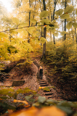 Traumschleife Der Gisinger - Rehlingen-Siersburg