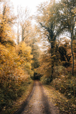 Traumschleife Der Gisinger - Rehlingen-Siersburg