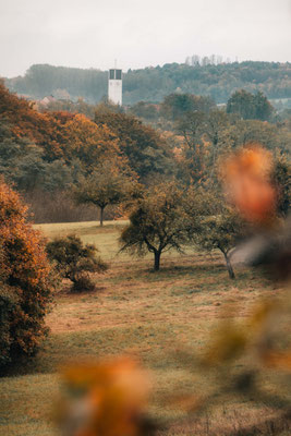 Traumschleife Der Gisinger - Rehlingen-Siersburg