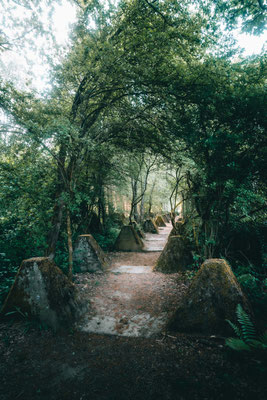 Höckerlinien-Weg - Orscholz