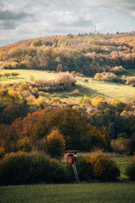 Blick in die Ferne - Burg Siersberg - Siersburg