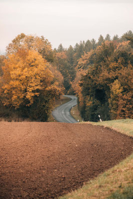 Traumschleife Der Gisinger - Rehlingen-Siersburg
