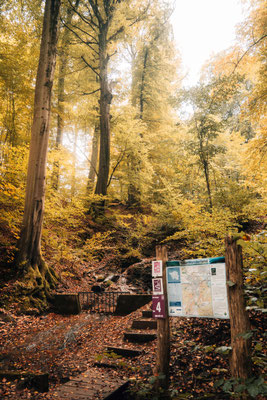 Traumschleife Der Gisinger - Rehlingen-Siersburg