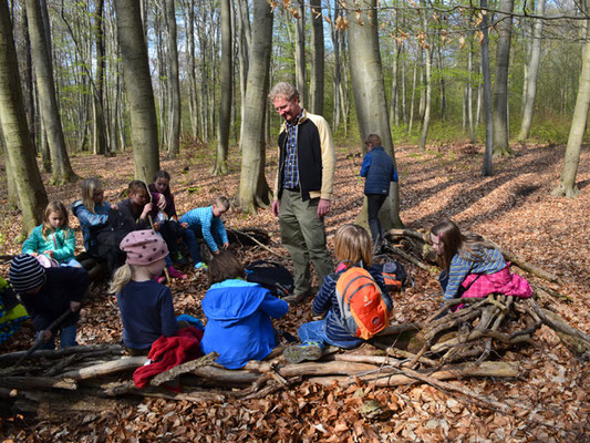 Pause im Wald