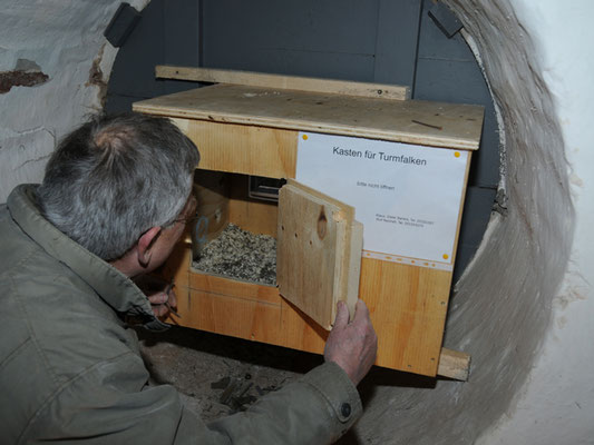 Blick durch das Reinigungsloch in den Nistkasten. Inhalt: Feiner Kies als Unterlage für die Eier