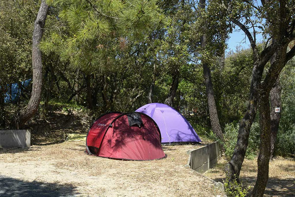 Emplacements tente camping les Pins Oléron