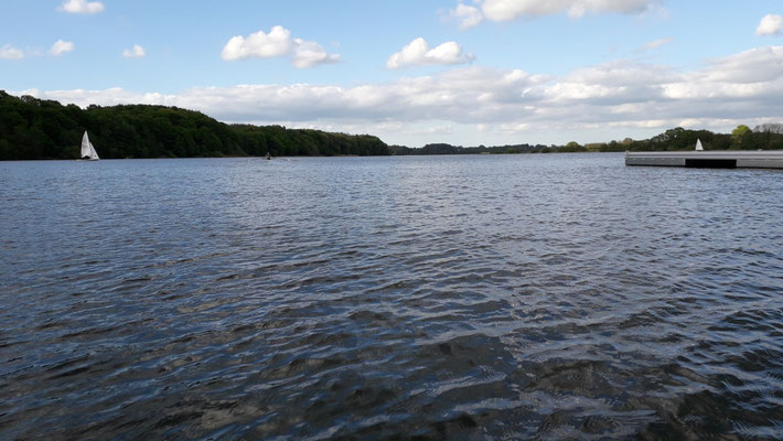Ruderer sind nicht die einzigen Benutzer des Sees. An manchen Tagen wird es auf dem See fast so eng wie auf der Alster. Hier ein eher ruhiger Tag: