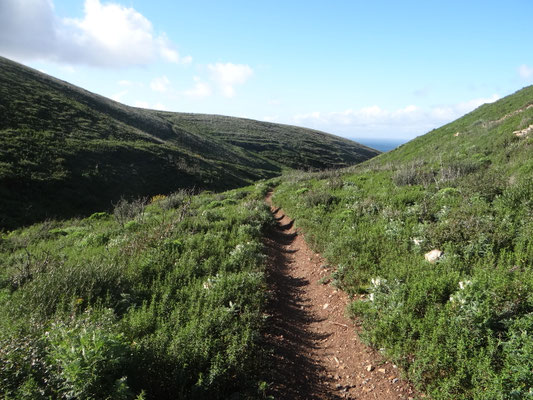 Estúdio de Corpo e Alma, Trilhos, Caminhadas, Natureza, Percurso pedestre, Almoinhas Velhas, Serra de Sintra, Montes e vales