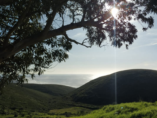 Estúdio de Corpo e Alma, Trilhos, Caminhadas, Natureza, Mar, Guincho, Percurso pedestre, Almoinhas Velhas, Serra de Sintra, Montes e vales